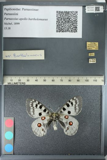Media type: image;   Entomology 175331